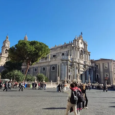 Couette-café Exotic 3*