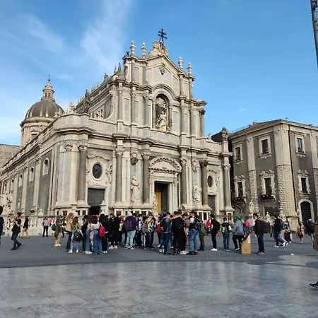 Exotic Couette-café