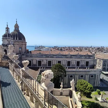 Couette-café Exotic